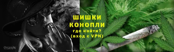 твердый Корсаков