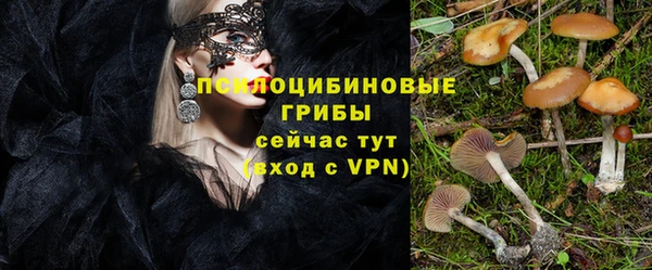альфа пвп Котовск