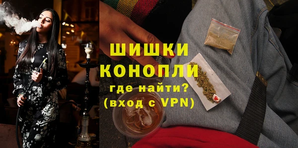 твердый Корсаков