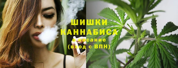дмт Козельск